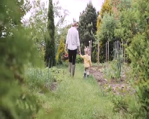 解析不同代试管婴儿技术：为您的生育之旅提供最佳选择