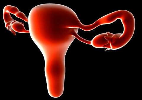 无锡三代试管婴儿医院:胎儿缺氧的信号与预防,以及女性生理期注意事项