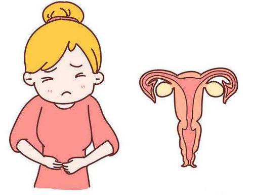 了解辅助生殖：天津供卵试管婴儿的等待时间与无锡供卵价格