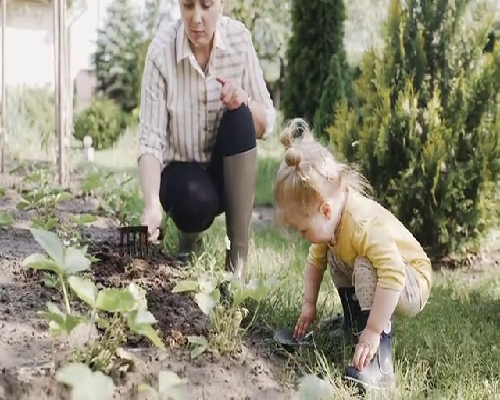 江苏代怀助孕公司解析:提供专业代生、代怀服务,附江苏试管婴儿助孕医院排名!